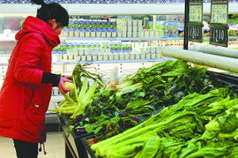 拉萨49个无公害蔬菜产品全部通过国家验收